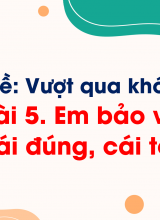 Bài 5 Em bảo vệ cái đúng, cái tốt